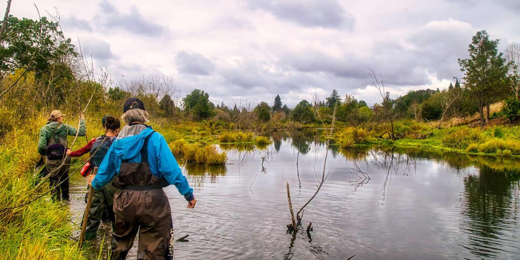 Amy and fellow volunteers explore wetlands in Washington County.