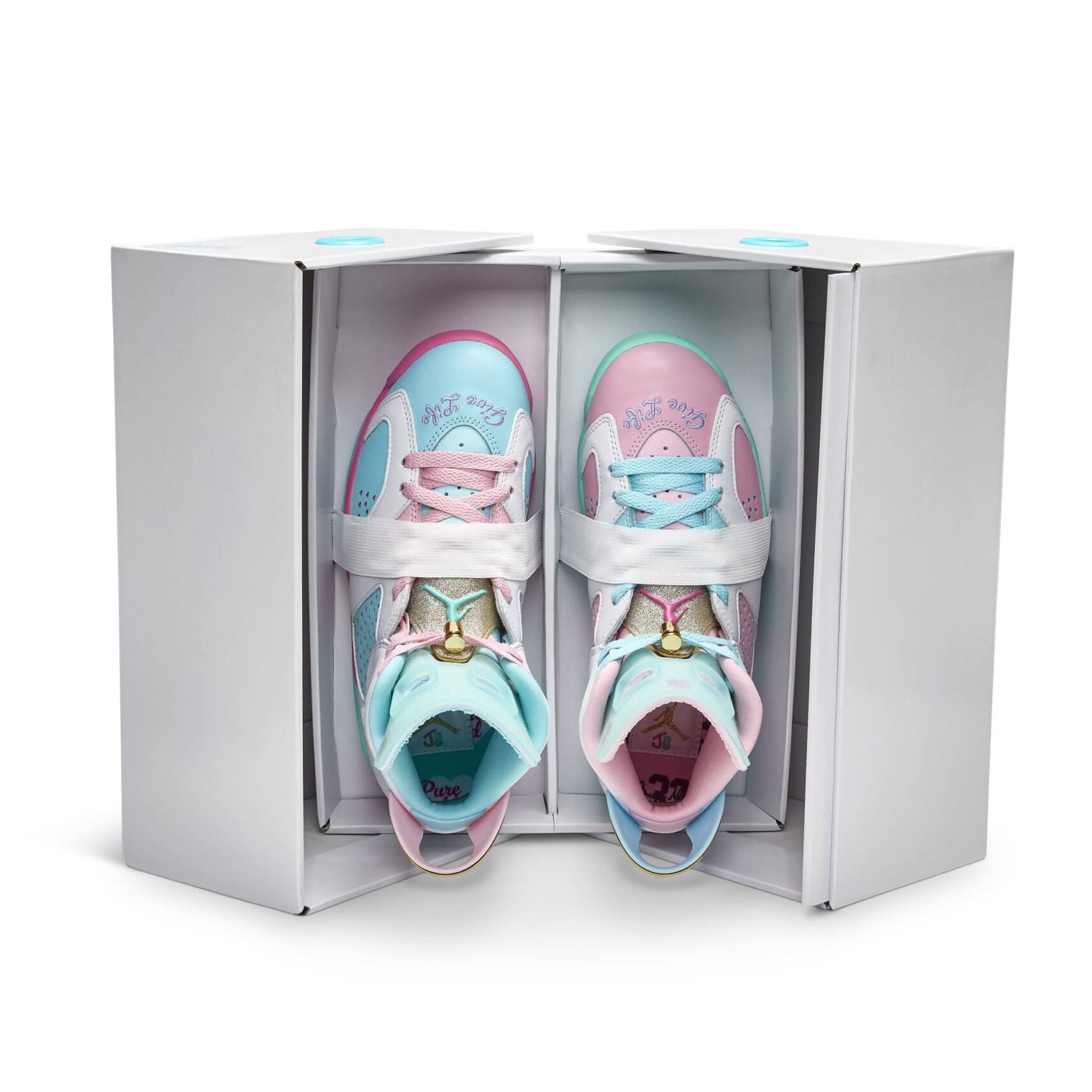 Jillian Beagley's Air Jordan 6 Retro