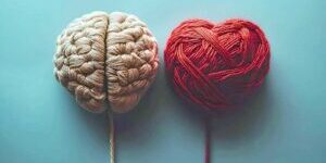 AdobeStock_903236618-lt